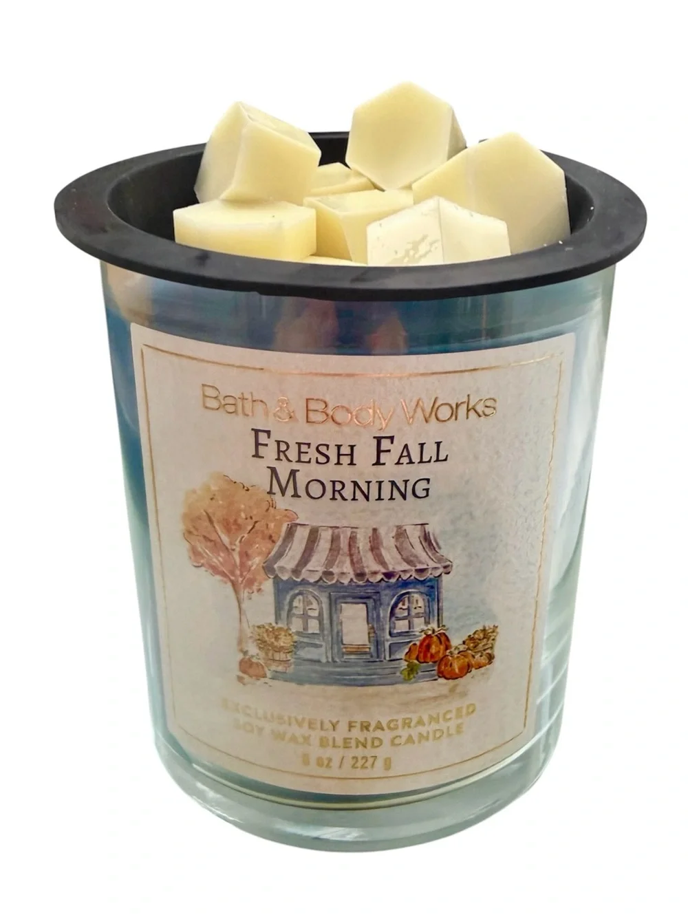 Wax Melts 4oz - Bath and Body Works - Fresh Fall Morning